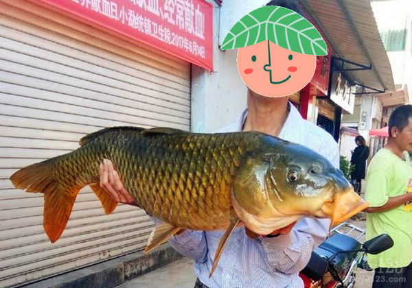 钓鱼图片
