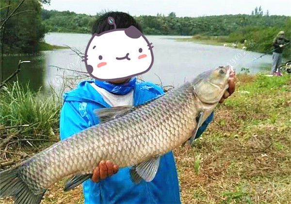 钓鱼图片