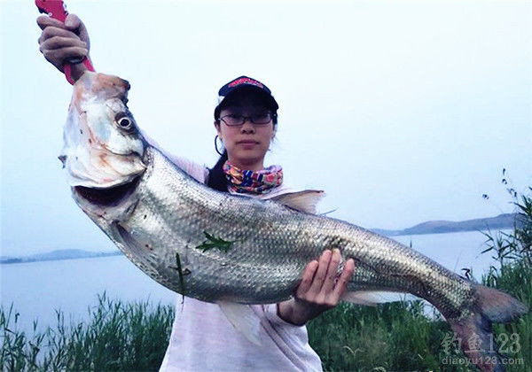 钓鱼图片
