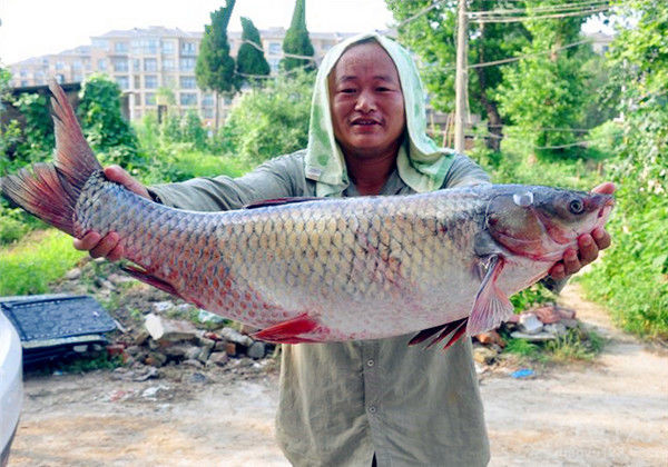 钓鱼图片