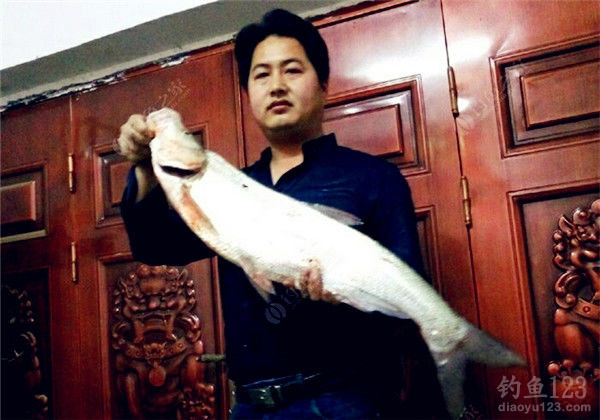 钓鱼图片