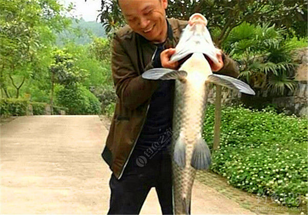 钓鱼图片