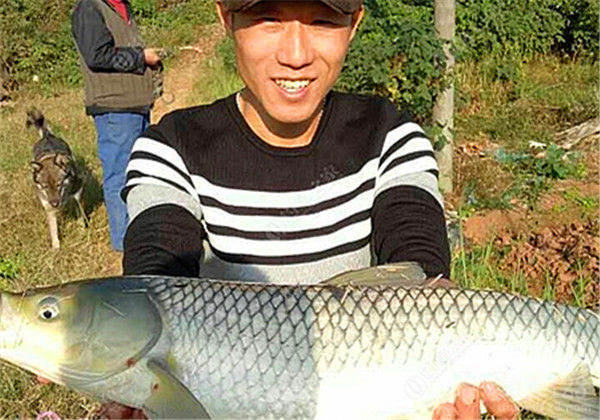 钓鱼图片