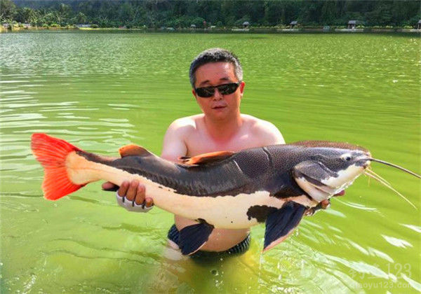 钓鱼图片