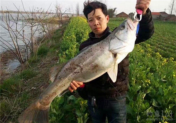 钓鱼图片