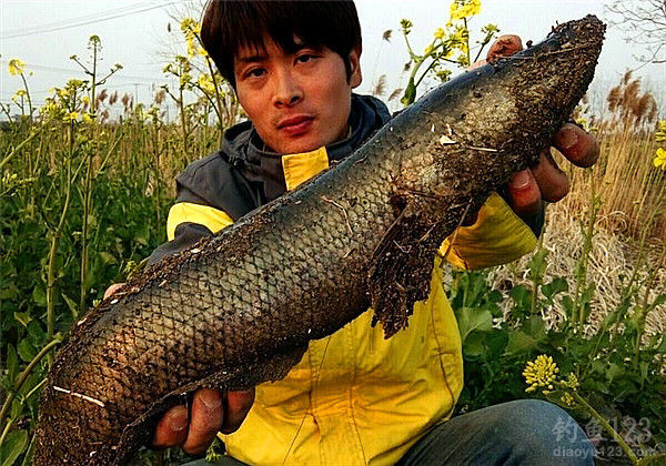 钓鱼图片