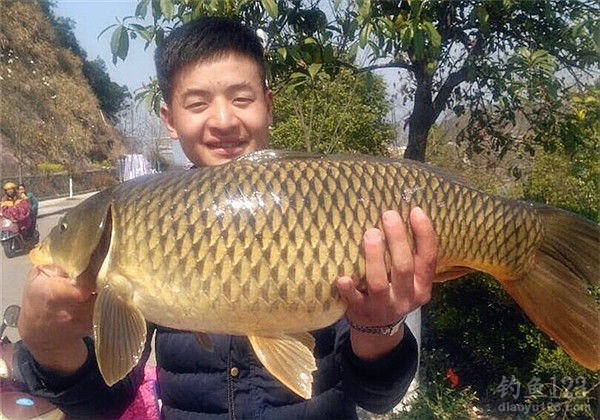 钓鱼图片
