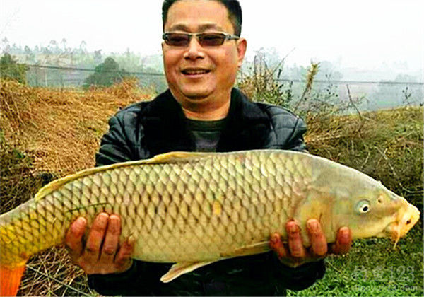 钓鱼图片