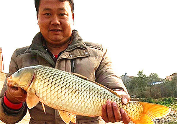 钓鱼图片