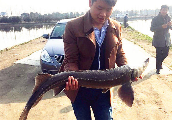 钓鱼图片