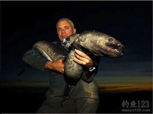 钓鱼图片