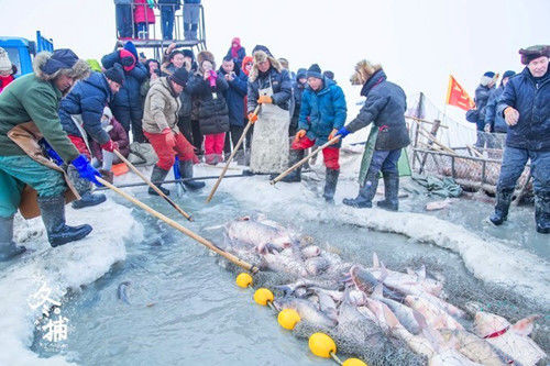 钓鱼图片