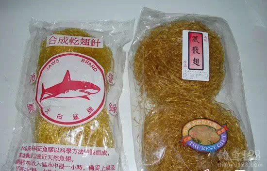 保护鲨鱼,从海钓爱好者做起