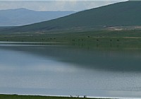 霍林河水库钓鱼爽