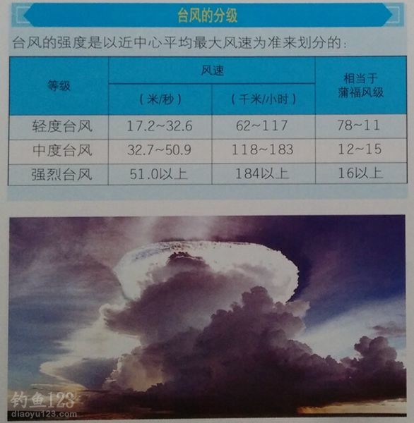 海洋各种气象分析