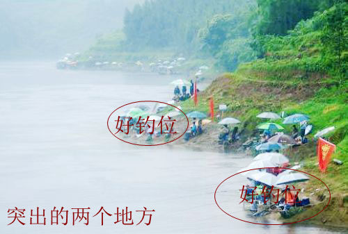 水库选钓点