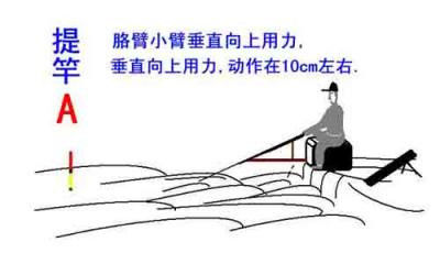 台钓握竿