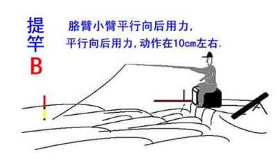 台钓握竿