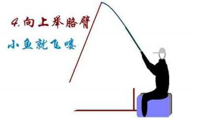 台钓扬竿
