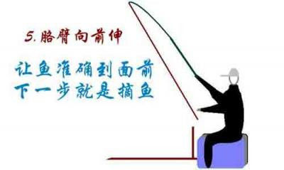 台钓扬竿