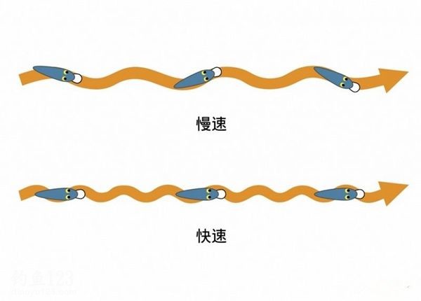 路亚钓法基本操作技巧