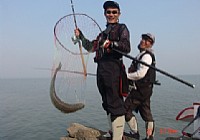 海竿钓鱼入门三要素