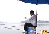 大鳞副泥鳅