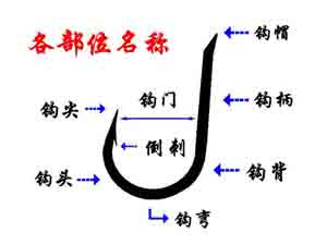 [钓鱼入门]新手学钓鱼1