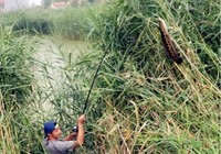 夏季野外路亚钓，你需要注意这3点！