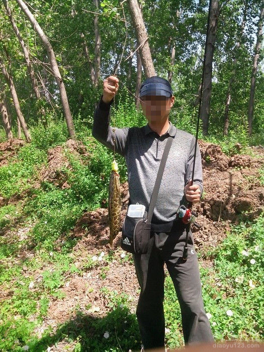 路亚战报
