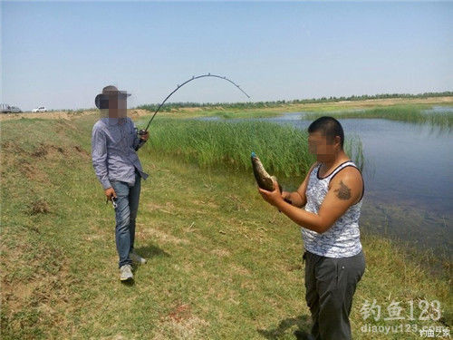 路亚战报