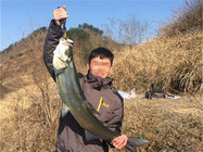 路亚日记——梅山水库路亚米级翘嘴鱼