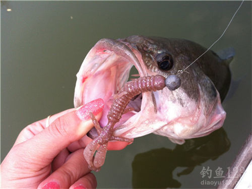 德州钓组