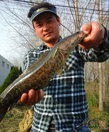 钓鱼人必看