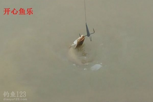 洞庭湖野钓场路亚钓获黑鱼