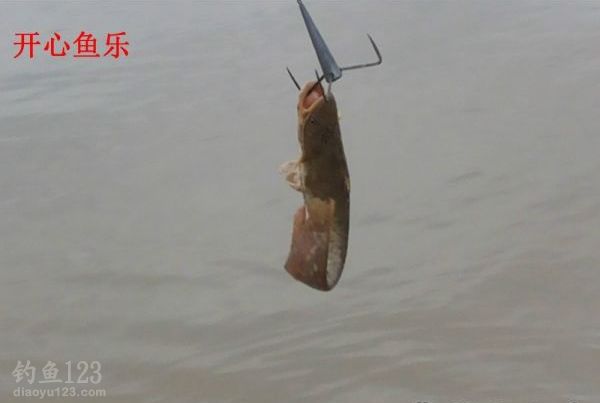 洞庭湖野钓场路亚钓获黑鱼