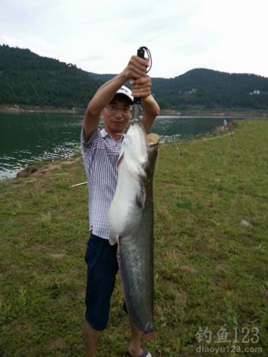 升钟湖路亚鲶鱼