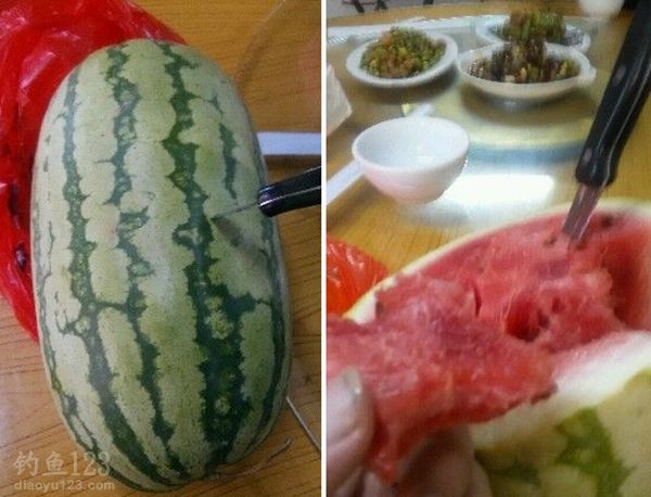 夏季钓鱼