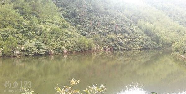 夏季钓鱼