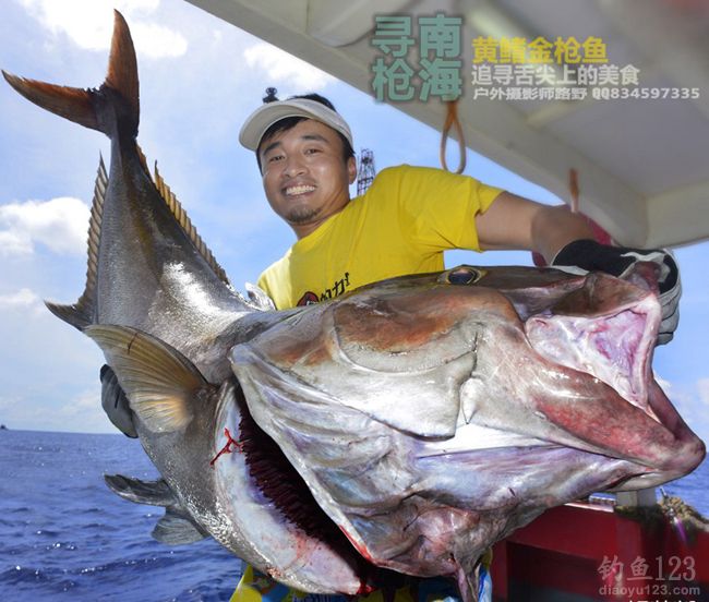 游钓中国第四站南油寻金枪鱼