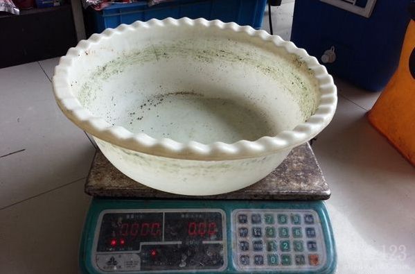 黑鱼重18斤