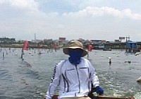 动鳡路亚团队马銮湾钓海鲢