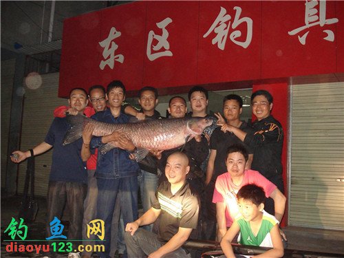 路亚到青鱼