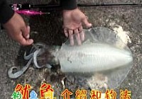 路亚如何钓鱿鱼
