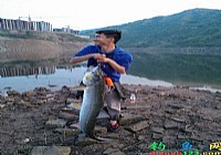 长江流域路亚到米级大鱤鱼