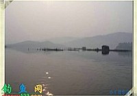 钓友在四川乐山新店水库路亚到世界最大的鳝鱼(据说)