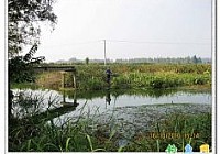 秋钓玉带河草窝