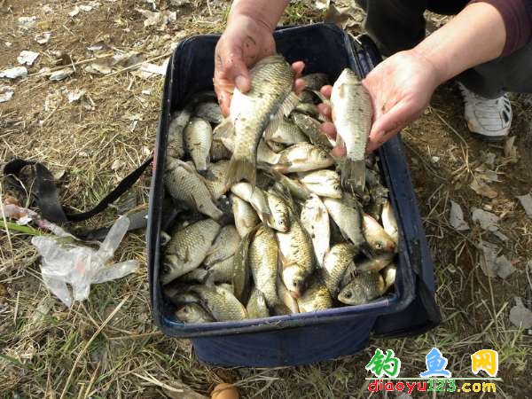 胜利水库最后的渔获