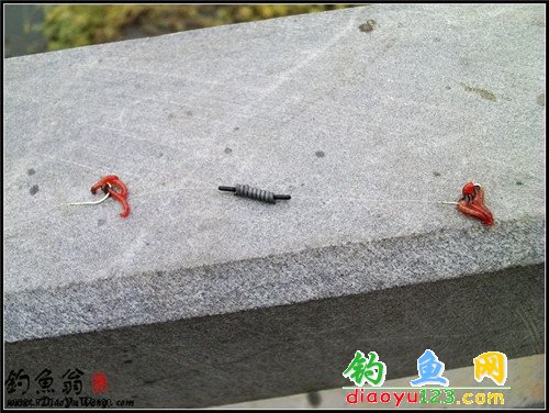 红虫钓鱼