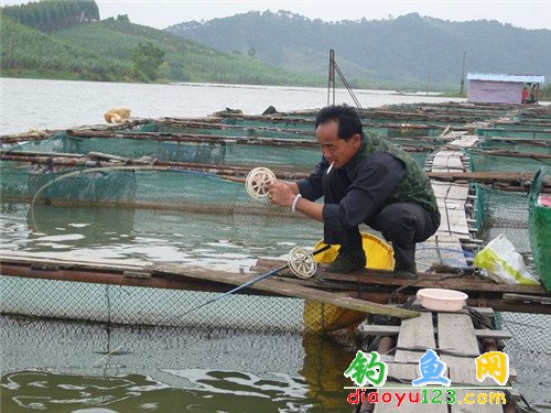 筏钓用轮车盘轮